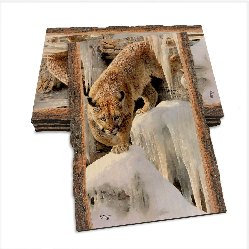 Marris' Ice Princess - Live Edge Live Edge Postcard (5pk // $2.80ea)