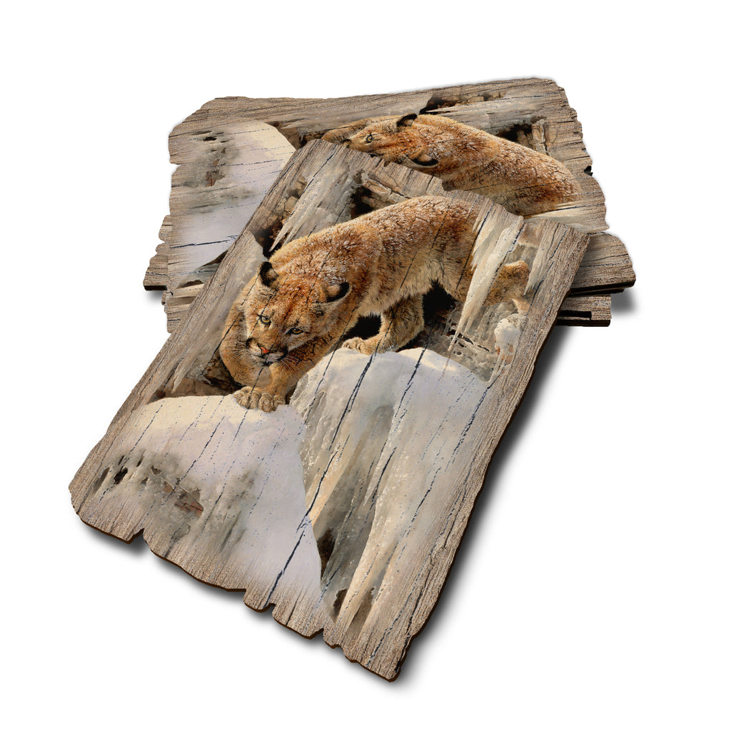 Marris' Ice Princess - Weathered Edge Rustic Edge Postcard (5pk // $2.80ea)