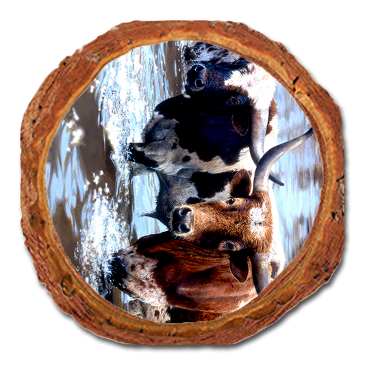 Coaster: Live Edge - Marris' Long Horns