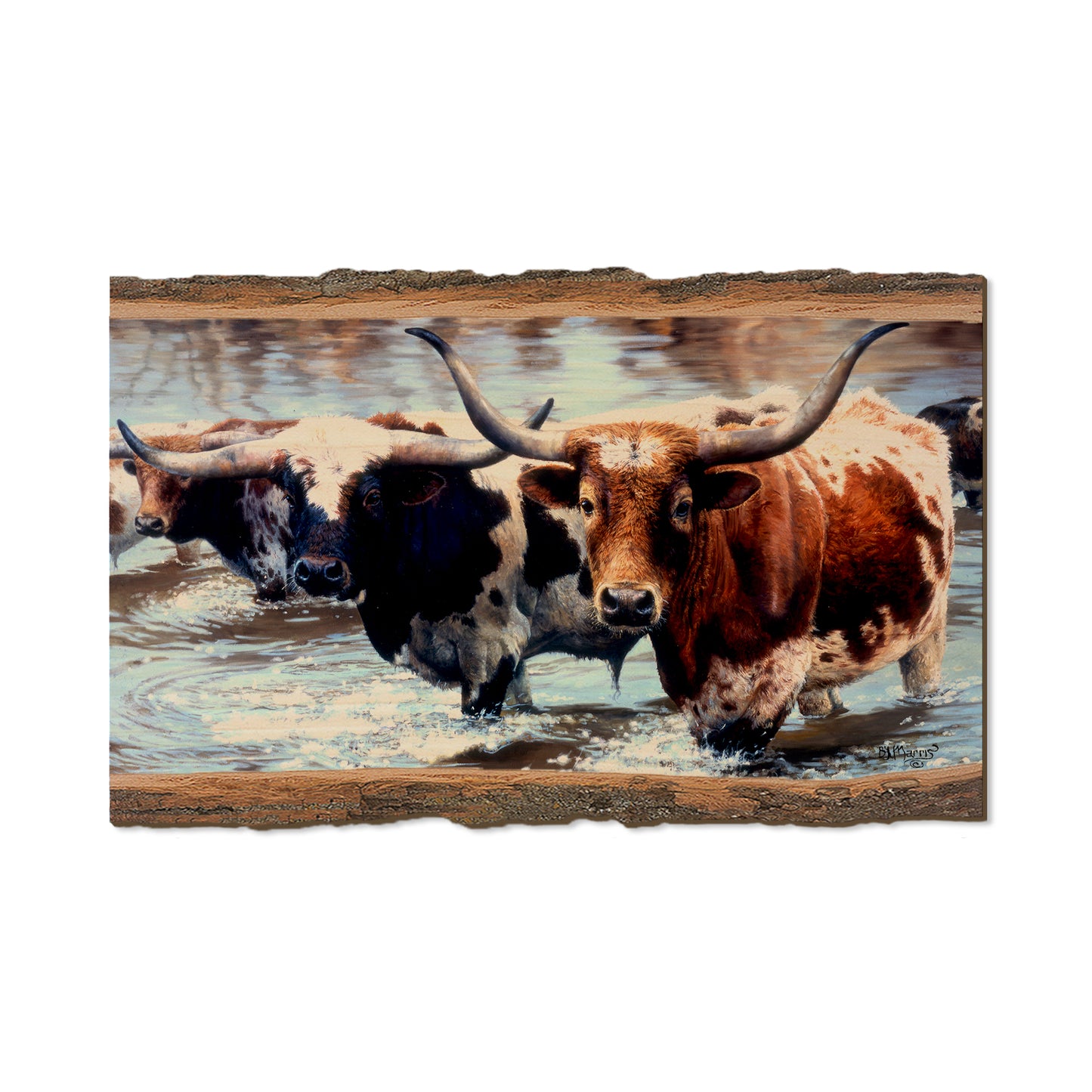 Marris' Long Horns - Live Edge Live Edge Magnet (5pk // $2.80ea)