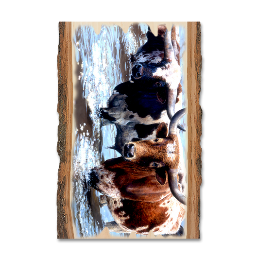 Magnet: Live Edge - Marris' Long Horns