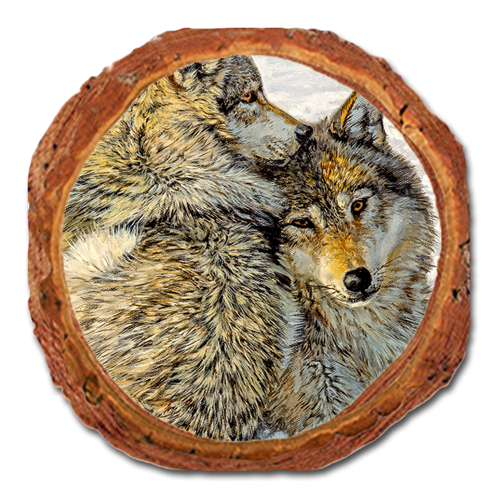 Coaster: Live Edge - Marris' Special Bond (Pack of 5)