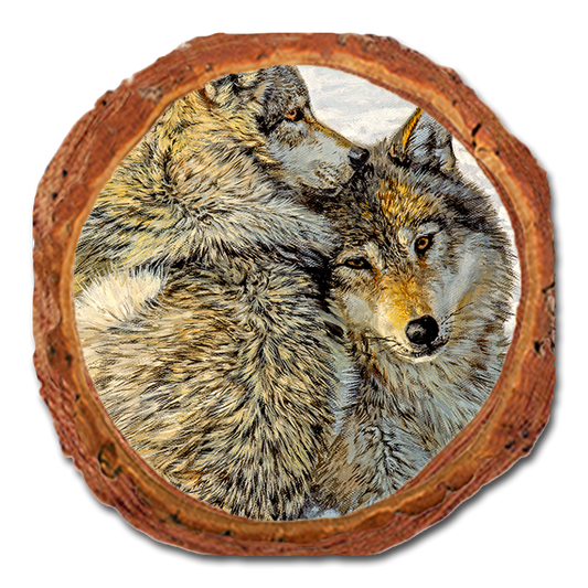 Coaster: Live Edge - Marris' Special Bond (Pack of 5)