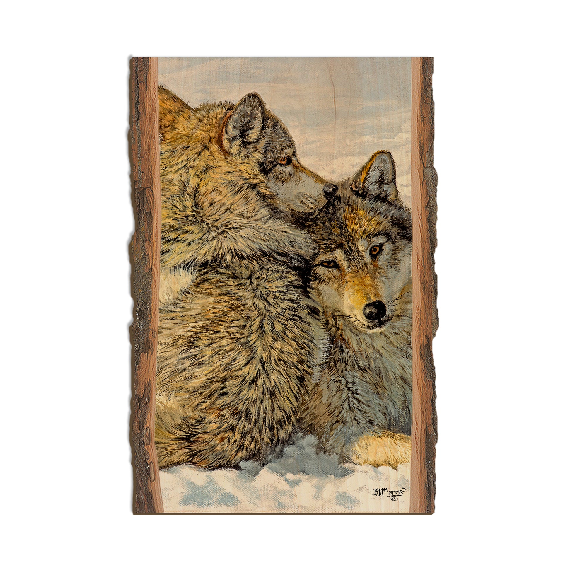 Marris' Special Bond - Live Edge Live Edge Postcard (5pk // $2.80ea)