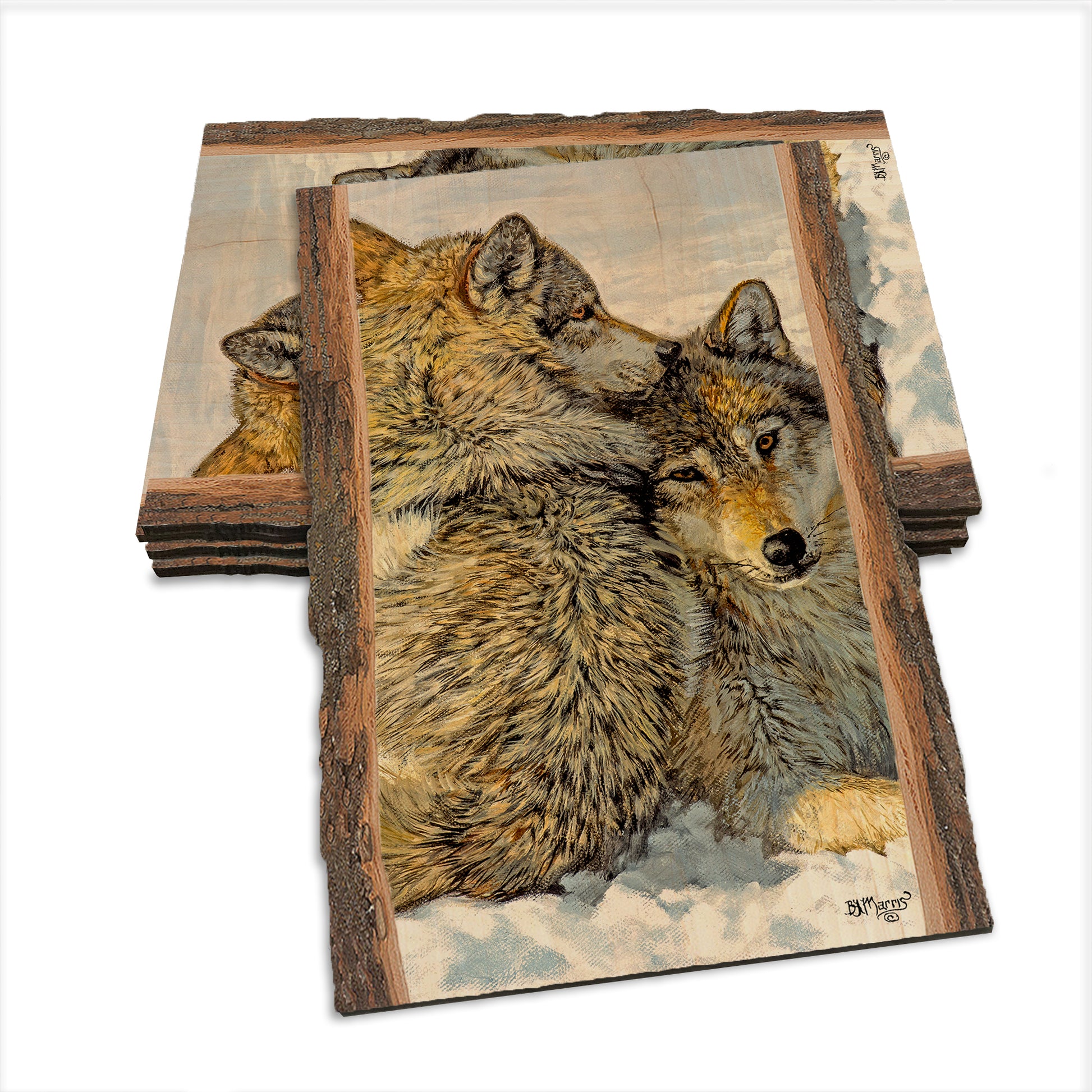 Marris' Special Bond - Live Edge Live Edge Postcard (5pk // $2.80ea)