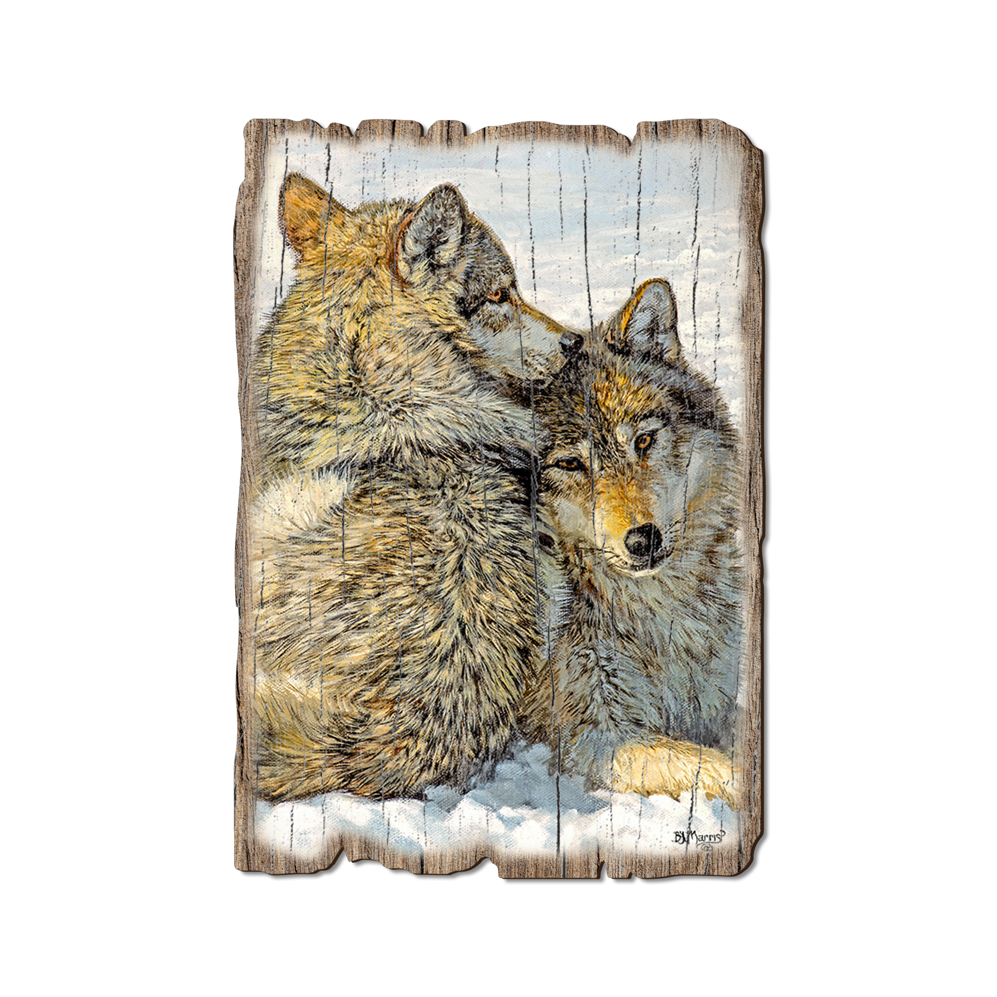 Ornament: Weathered Edge - Marris' Special Bond