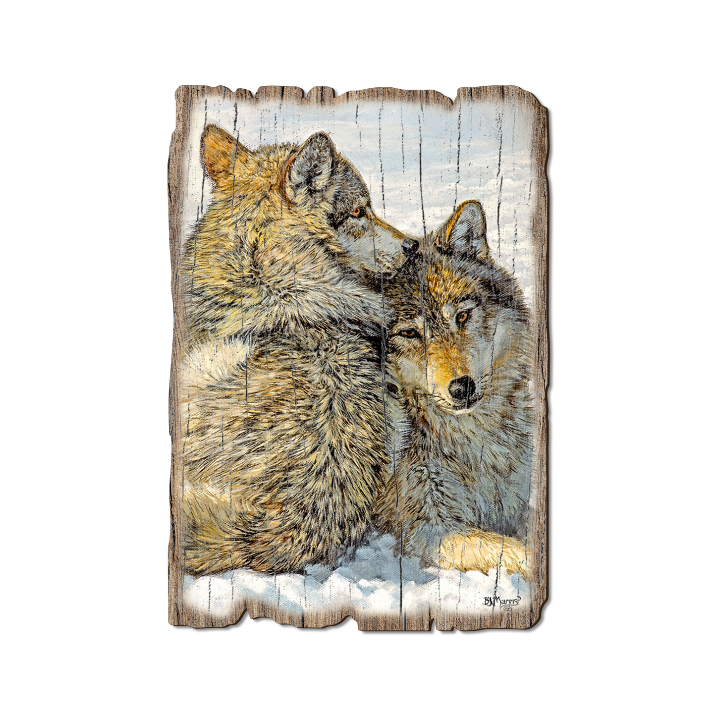 Postcard: Weathered Edge - Marris' Special Bond