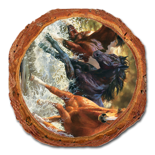 Coaster: Live Edge - Marris' Splash Down
