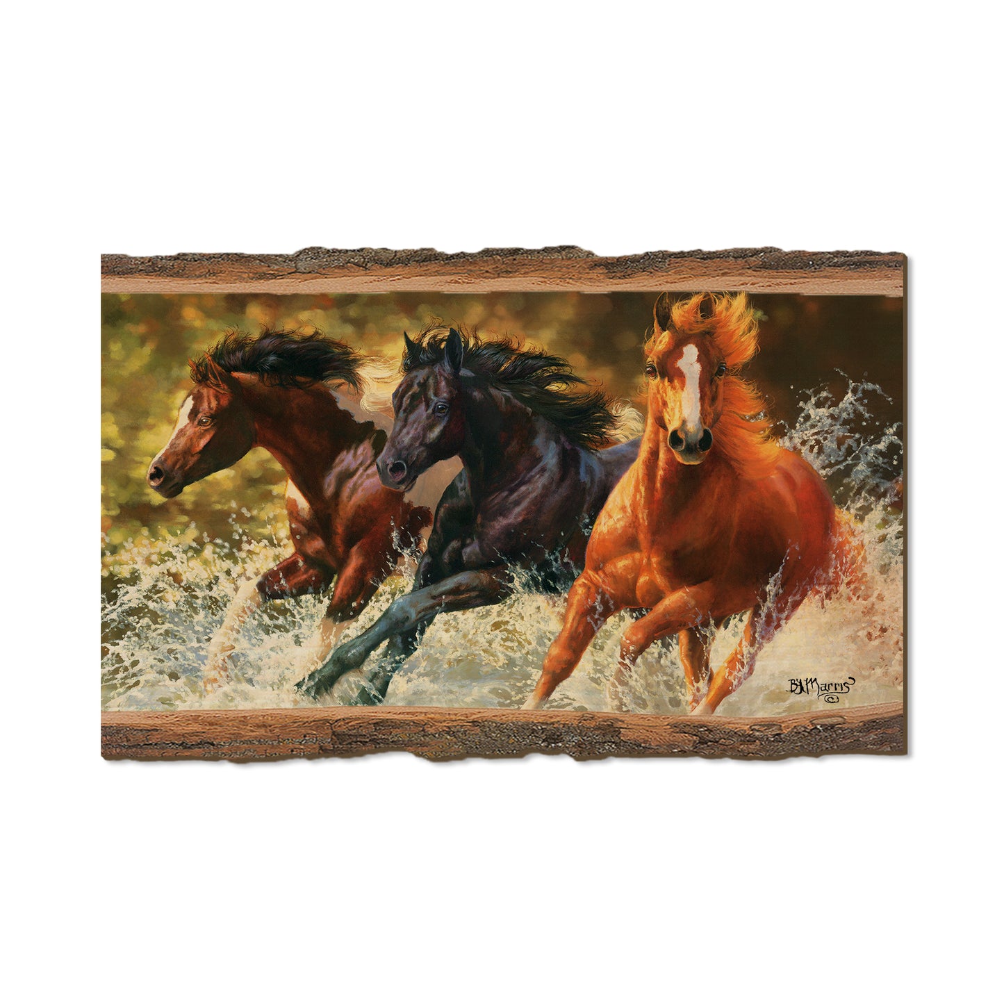Marris' Splash Down - Live Edge Live Edge Magnet (5pk // $2.80ea)