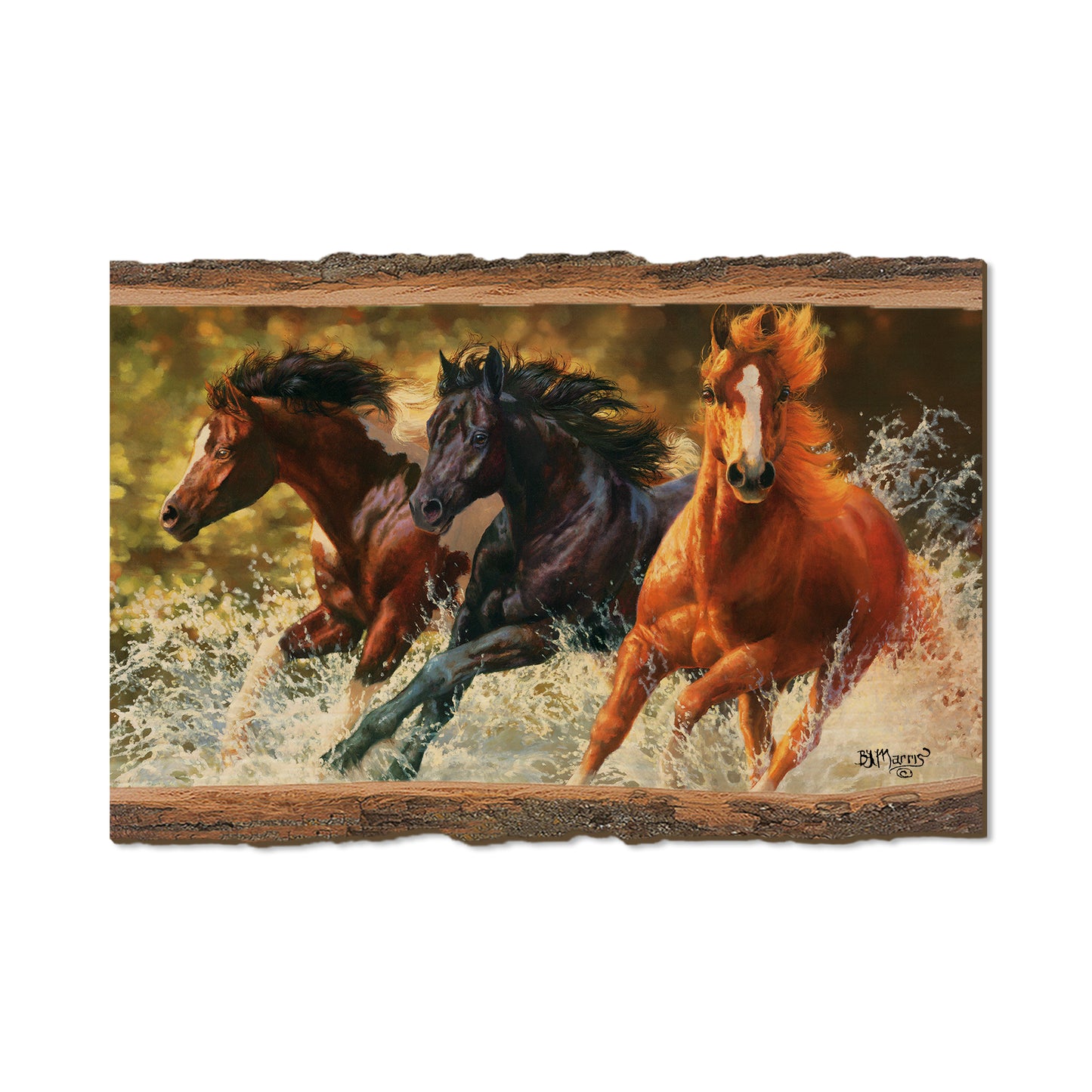 Marris' Splash Down - Live Edge Live Edge Postcard (5pk // $2.80ea)