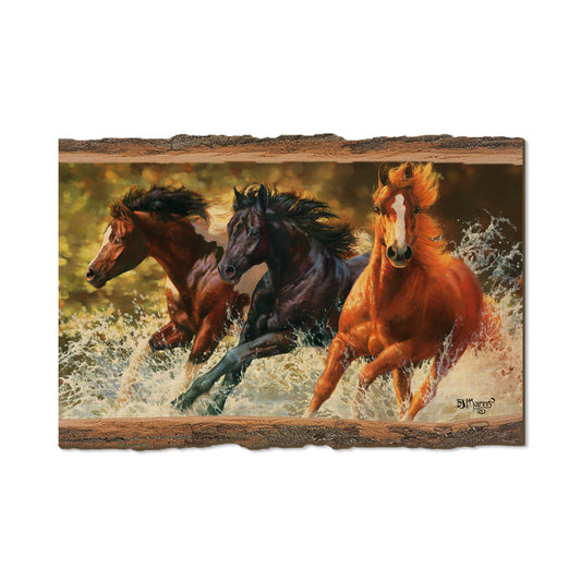 Marris' Splash Down - Live Edge Live Edge Postcard (5pk // $2.80ea)
