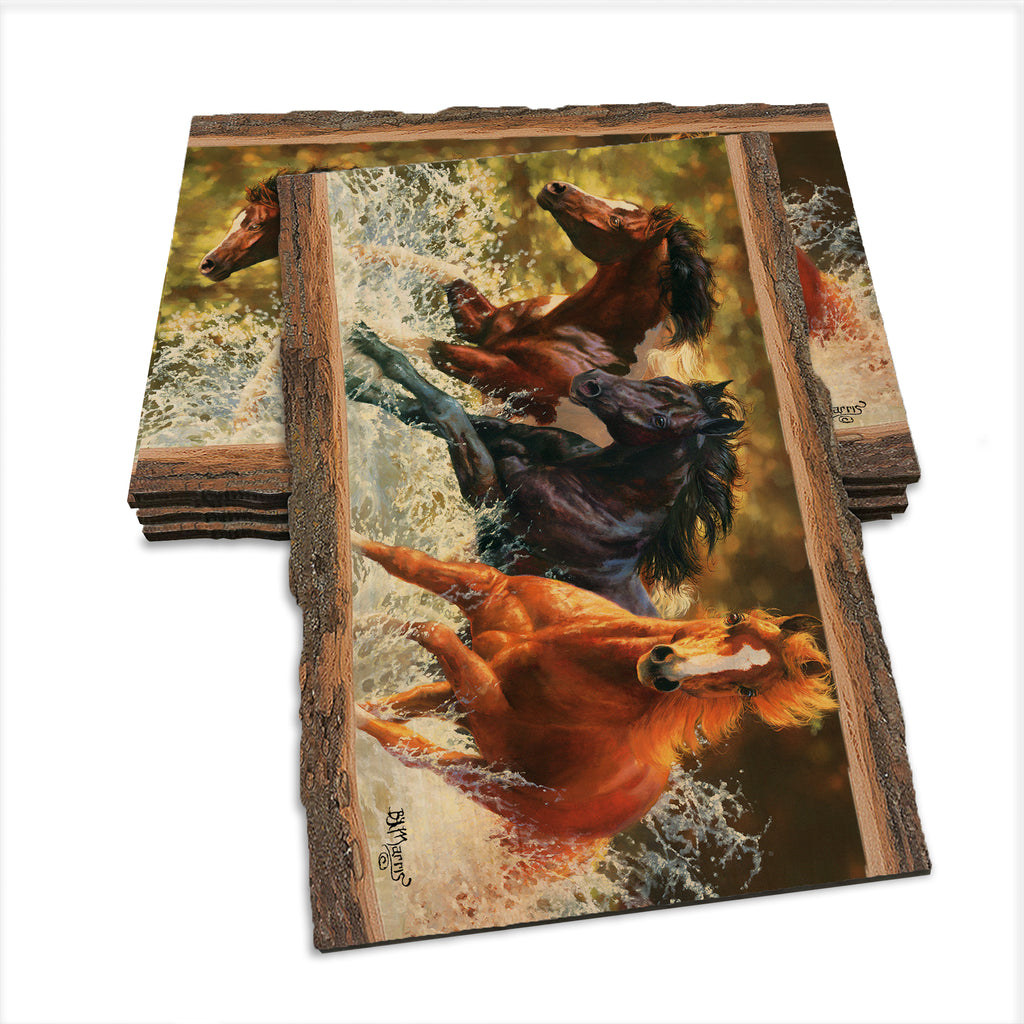 Marris' Splash Down - Live Edge Live Edge Postcard (5pk // $2.80ea)