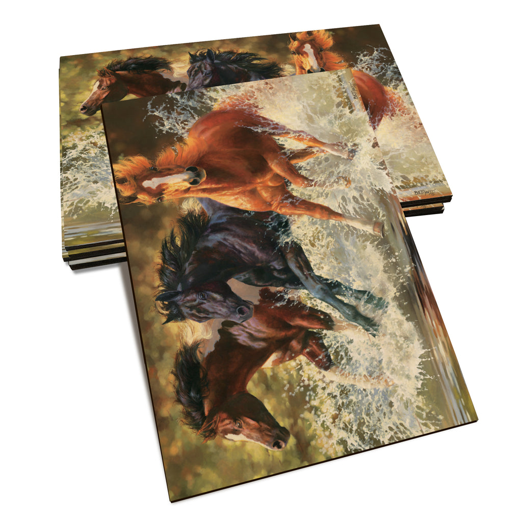 Marris' Splash Down - Classic Edge Classic Edge Postcard (5pk // $2.80ea)