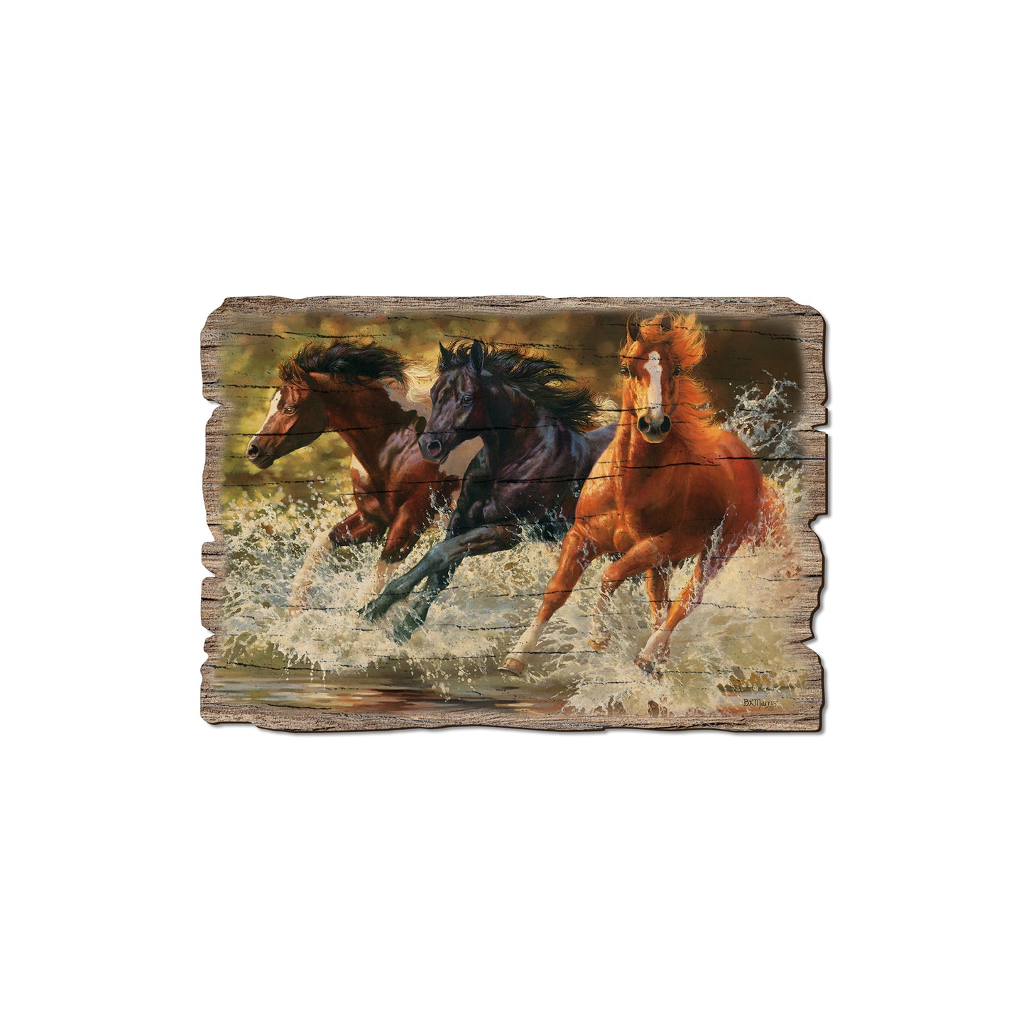 Marris' Splash Down - Rustic Edge Postcards & Magnets Rustic Edge Magnet (5pk // $2.80ea)