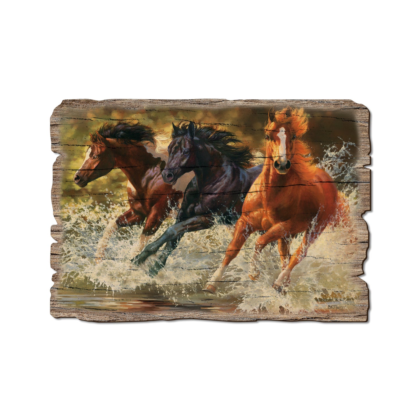 Marris' Splash Down - Rustic Edge Postcards & Magnets Rustic Edge Postcard (5pk // $2.80ea)