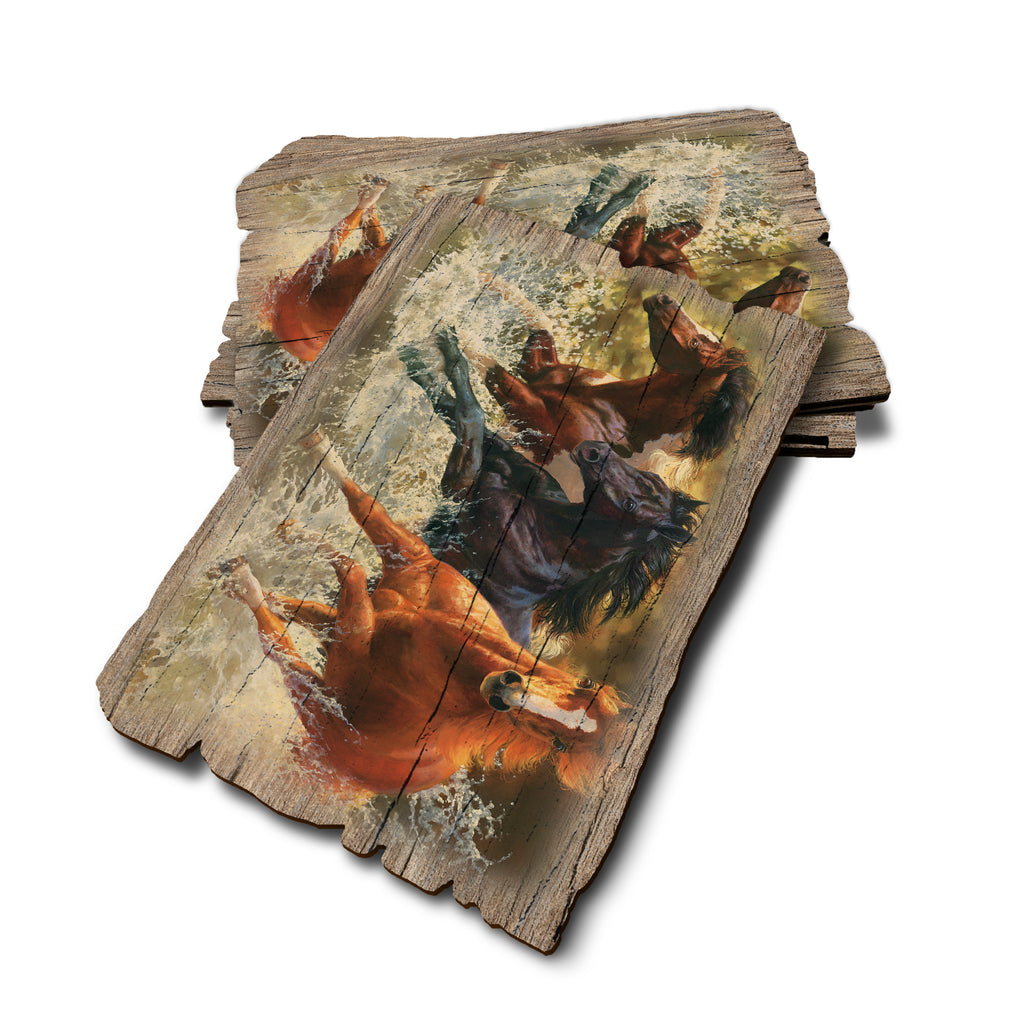 Marris' Splash Down - Weathered Edge Rustic Edge Postcard (5pk // $2.80ea)