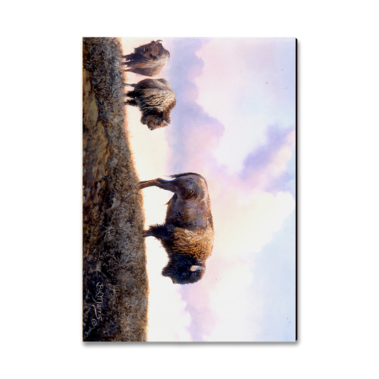 Magnet: Classic Edge - Marris' Three Bison