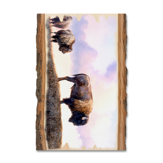 Magnet: Live Edge - Marris' Three Bison