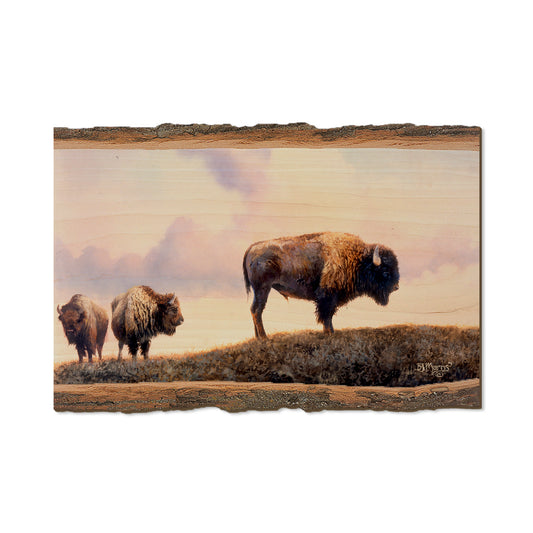 Marris' Three Bison - Live Edge Live Edge Postcard (5pk // $2.80ea)