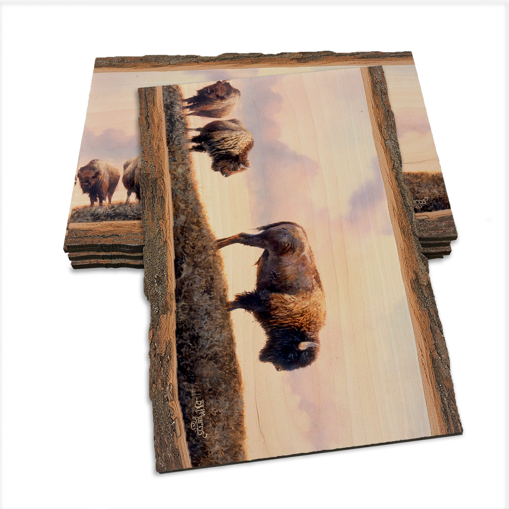 Marris' Three Bison - Live Edge Live Edge Postcard (5pk // $2.80ea)