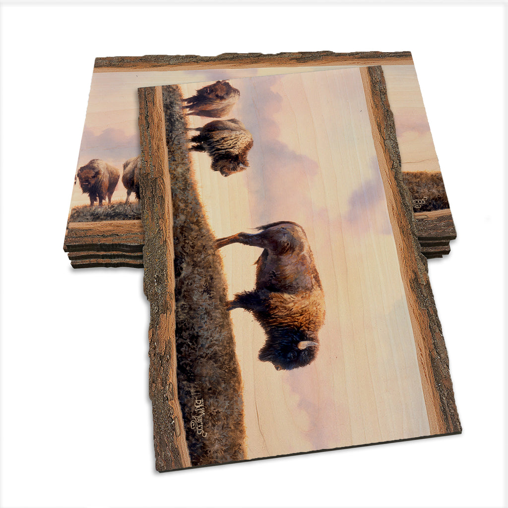 Marris' Three Bison - Live Edge Live Edge Postcard (5pk // $2.80ea)