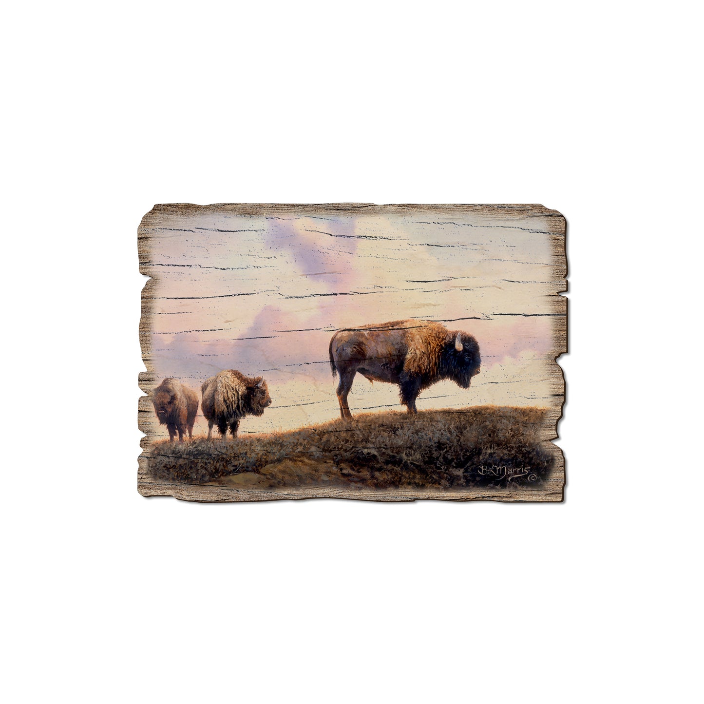 Marris' Three Bison - Rustic Edge Postcards & Magnets Rustic Edge Magnet (5pk // $2.80ea)