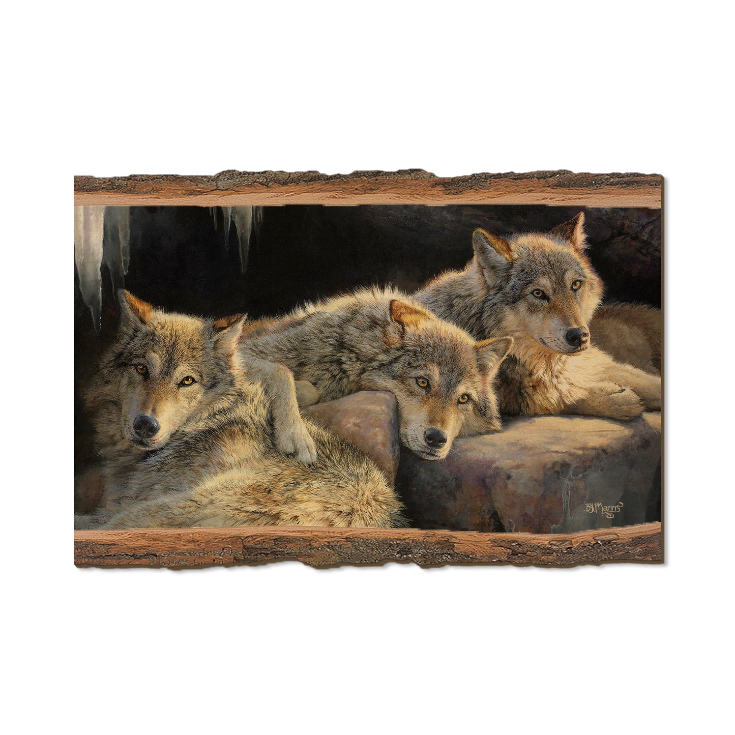 Marris' Touch of Dusk - Live Edge Live Edge Postcard (5pk // $2.80ea)