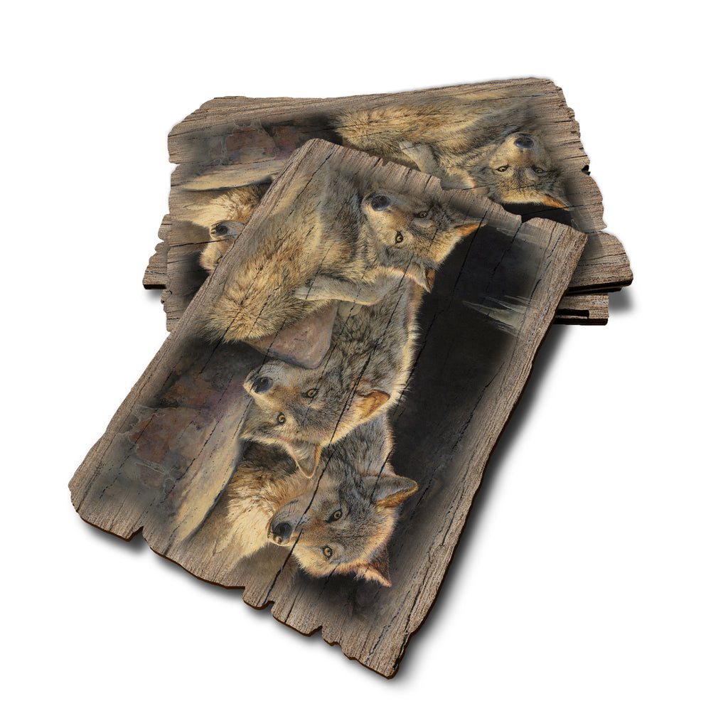 Marris' Touch Of Dusk - Weathered Edge Rustic Edge Postcard (5pk // $2.80ea)