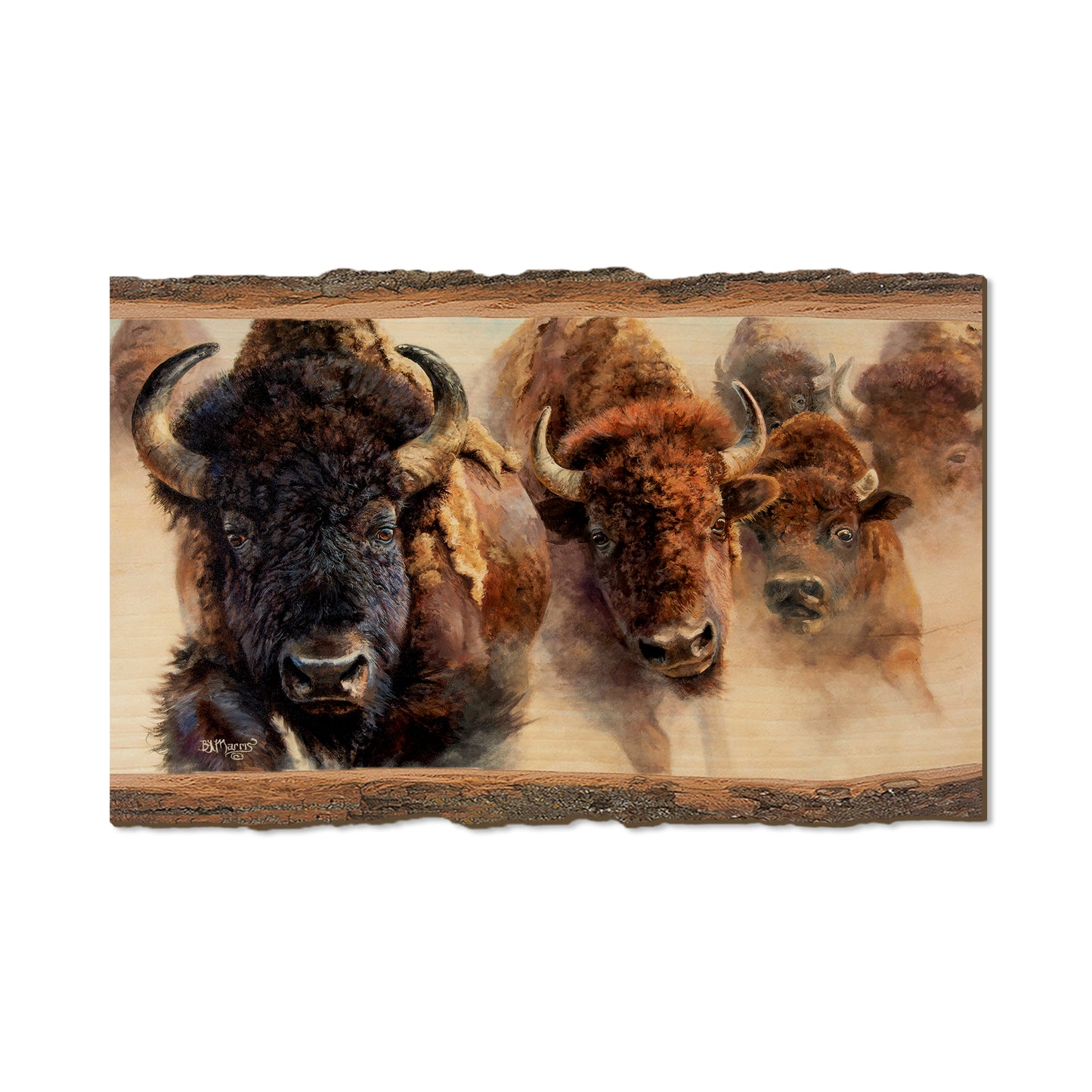 Marris' The Stampede - Live Edge Live Edge Magnet (5pk // $2.80ea)