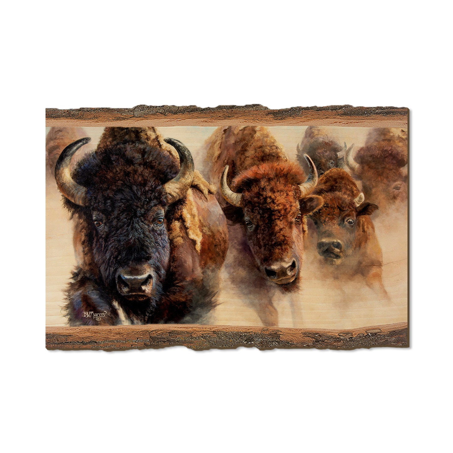 Marris' The Stampede - Live Edge Live Edge Postcard (5pk // $2.80ea)