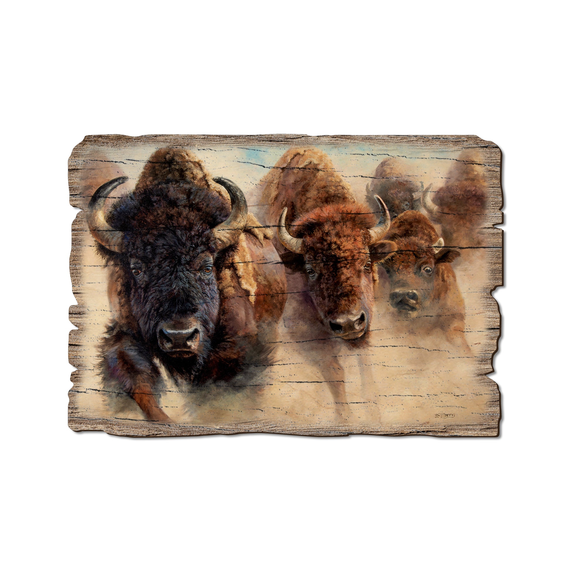 Marris' The Stampede - Rustic Edge Postcards & Magnets Rustic Edge Postcard (5pk // $2.80ea)