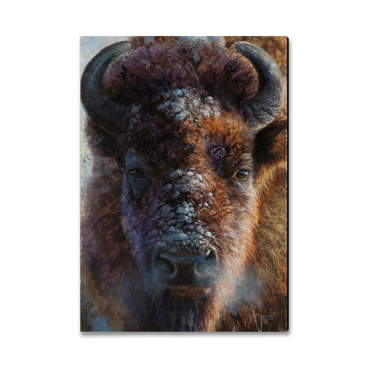 Greeting Card: Classic Edge - Marris' Winter Buffalo