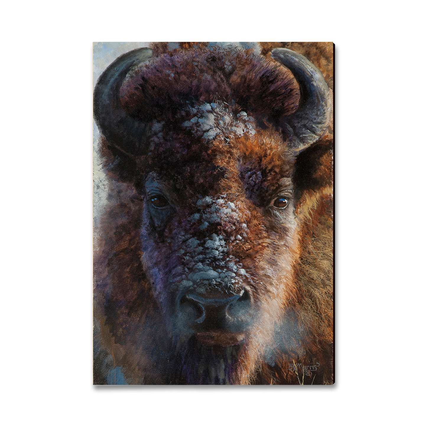 Magnet: Classic Edge - Marris' Winter Buffalo