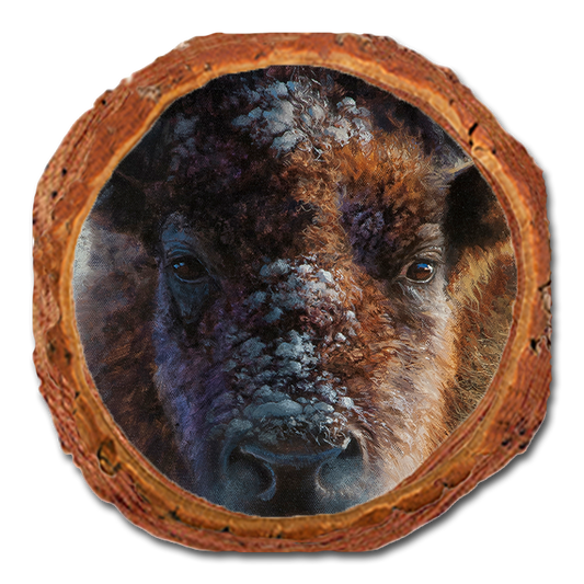 Coaster: Live Edge - Marris' Winter Buffalo