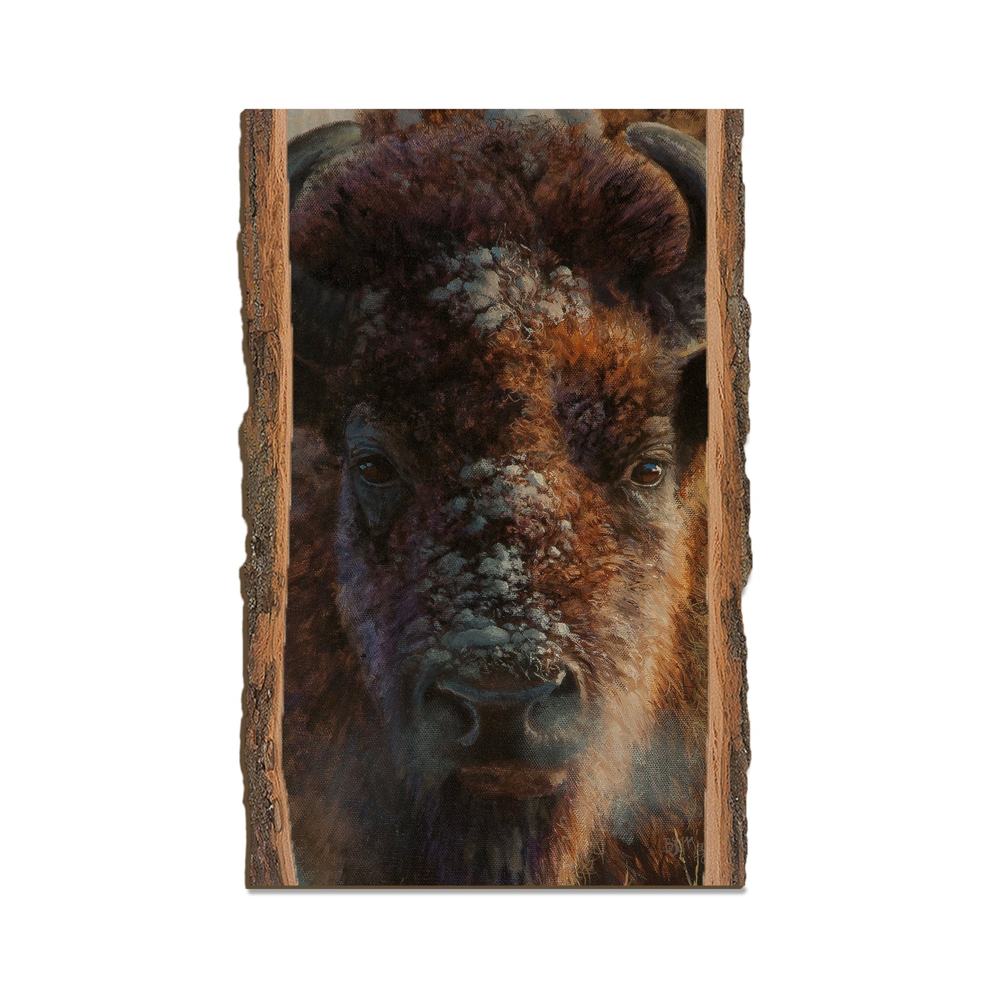 Marris' Winter Buffalo - Live Edge Live Edge Magnet (5pk // $2.80ea)