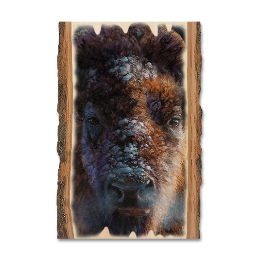 Magnet: Live Edge - Marris' Winter Buffalo
