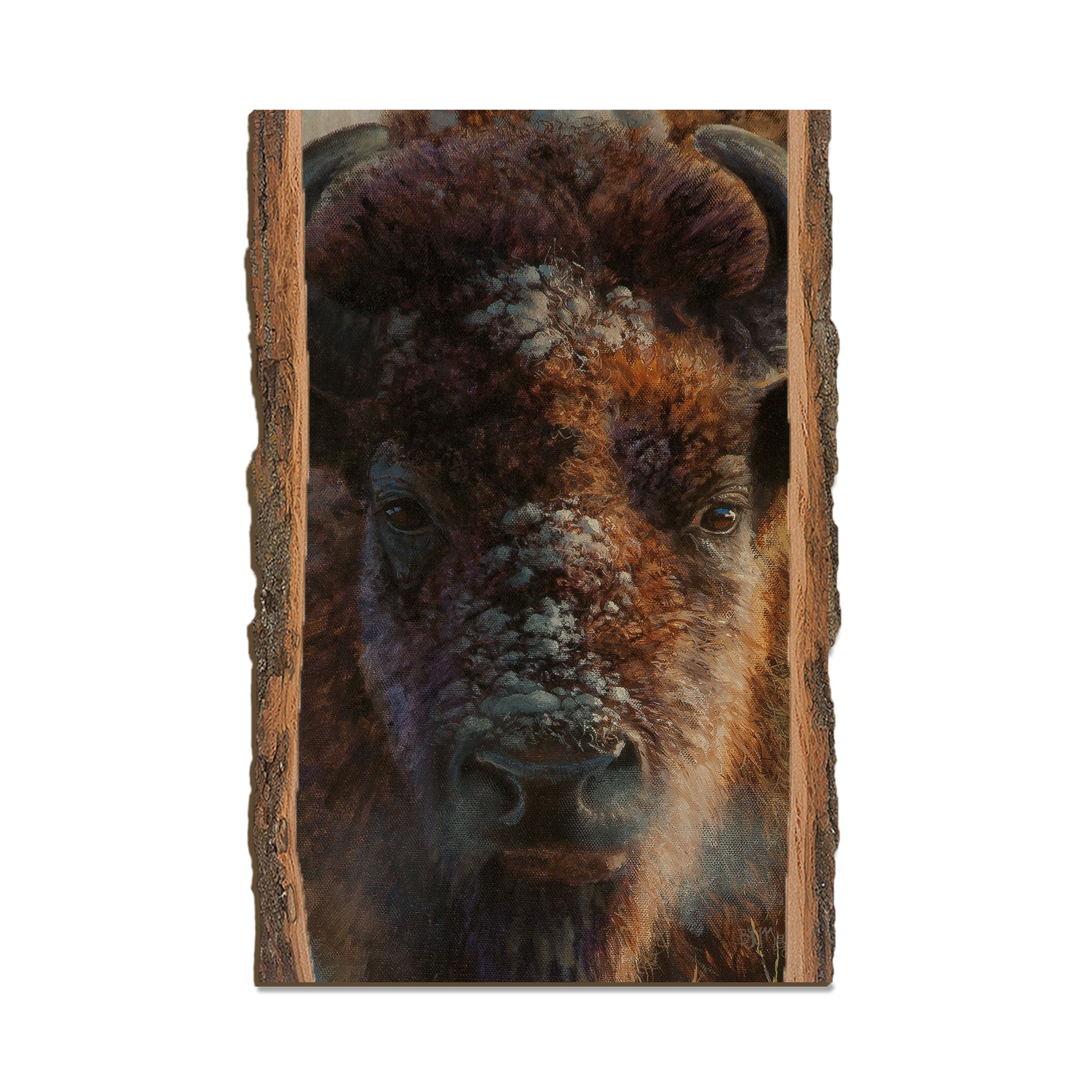 Marris' Winter Buffalo - Live Edge Live Edge Postcard (5pk // $2.80ea)