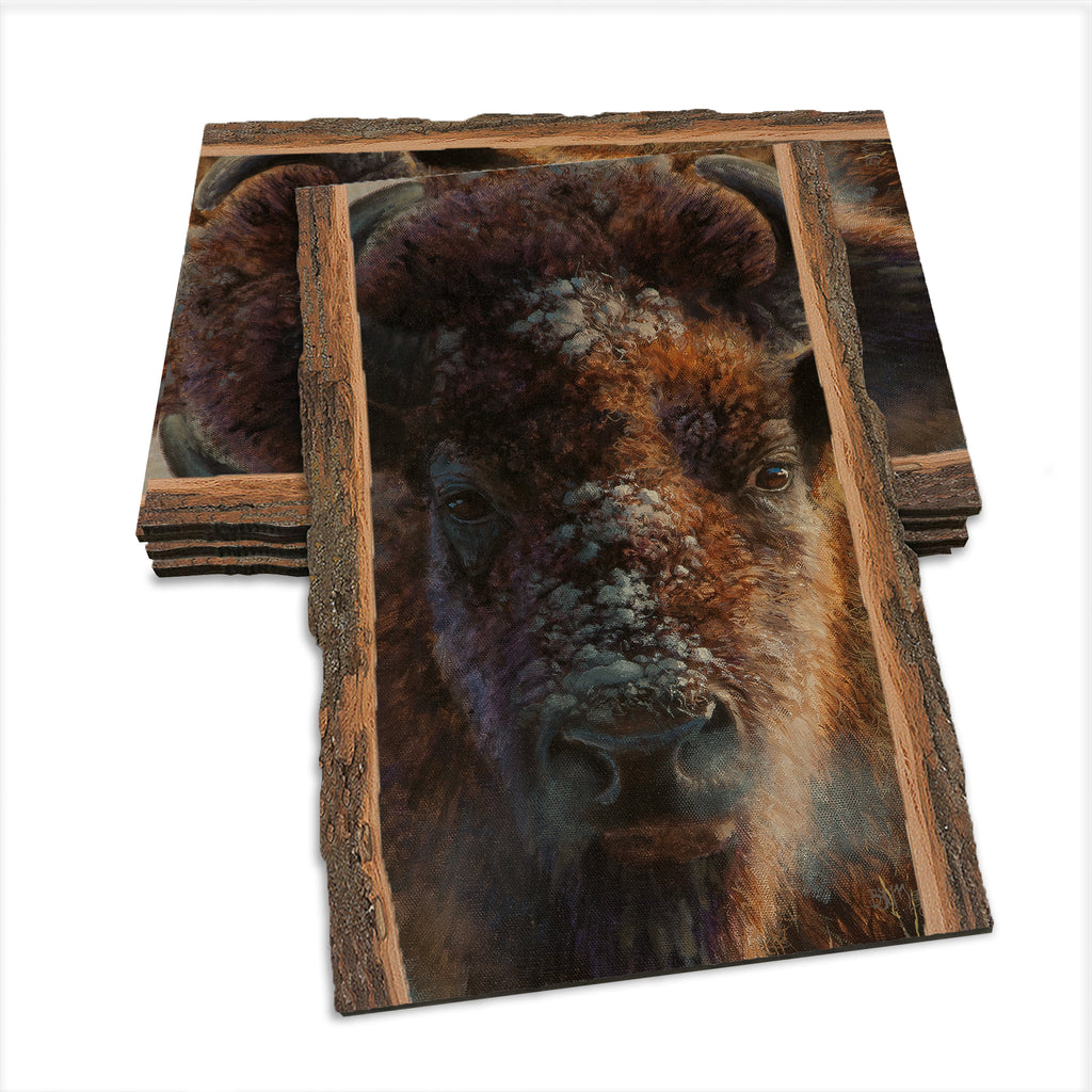 Marris' Winter Buffalo - Live Edge Live Edge Postcard (5pk // $2.80ea)