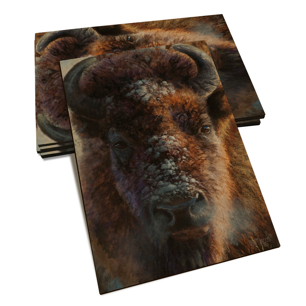 Marris' Winter Buffalo - Classic Edge Classic Edge Postcard (5pk // $2.80ea)