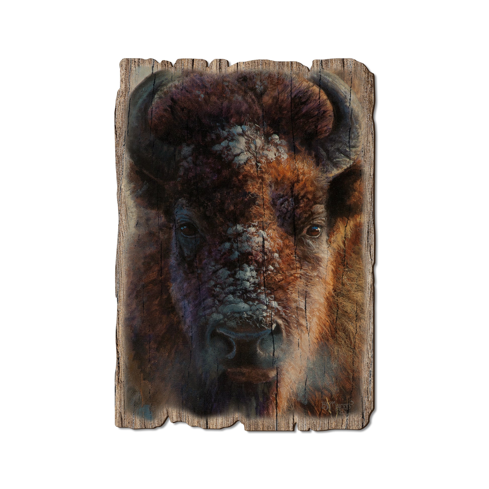 Marris' Winter Buffalo - Rustic Edge Postcards & Magnets Rustic Edge Postcard (5pk // $2.80ea)