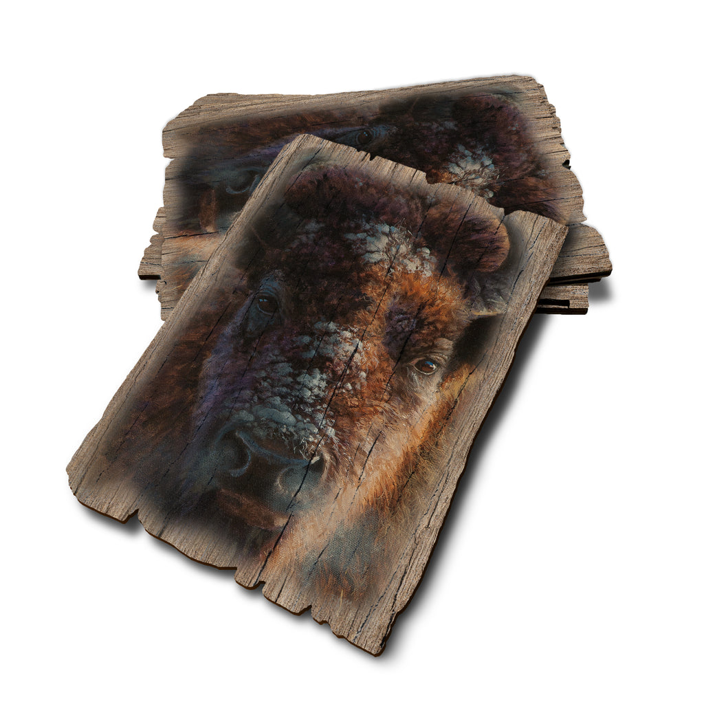 Marris' Winter Buffalo - Weathered Edge Rustic Edge Postcard (5pk // $2.80ea)