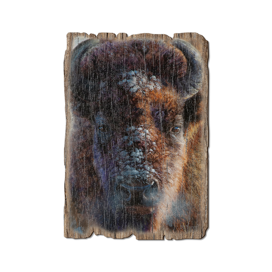 Greeting Card: Weathered Edge - Marris' Winter Buffalo