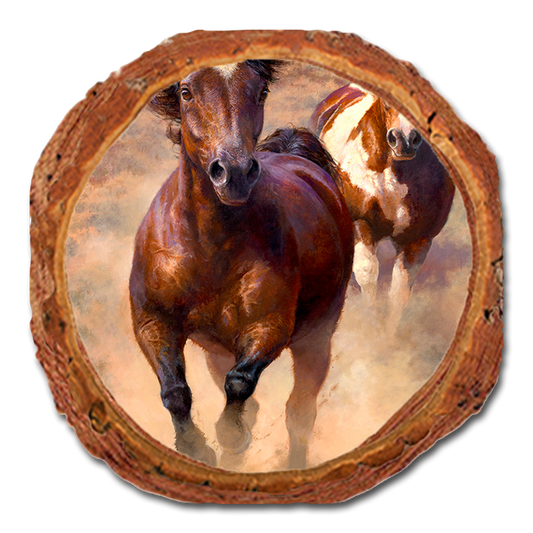 Coaster: Live Edge - Marris' Wide Open (Pack of 5)