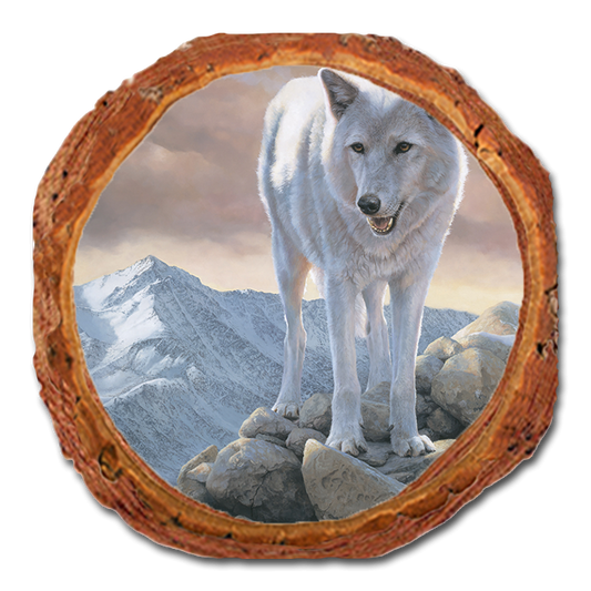Coaster: Live Edge - Marris' White Wolf (Pack of 5)