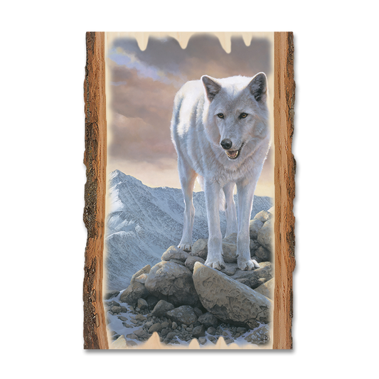 Greeting Card: Live Edge - Marris' White Wolf