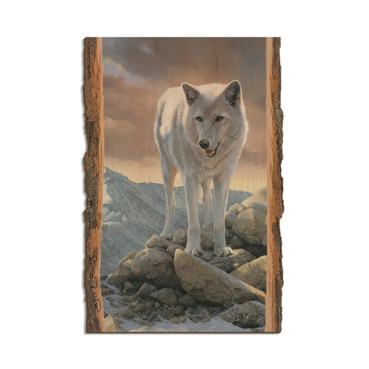 Marris' White Wolf - Live Edge Live Edge Postcard (5pk // $2.80ea)
