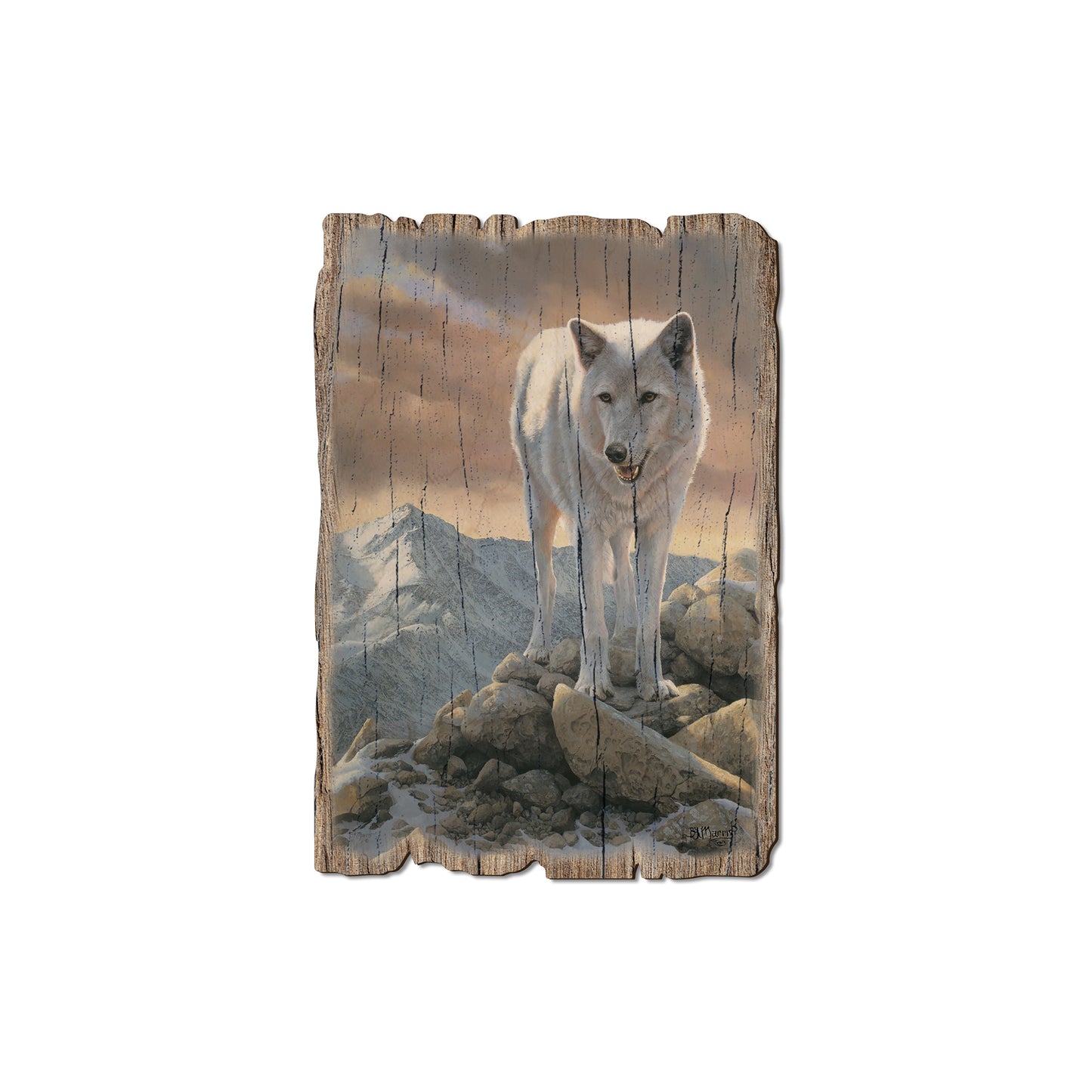 Marris' White Wolf - Rustic Edge Postcards & Magnets Rustic Edge Magnet (5pk // $2.80ea)
