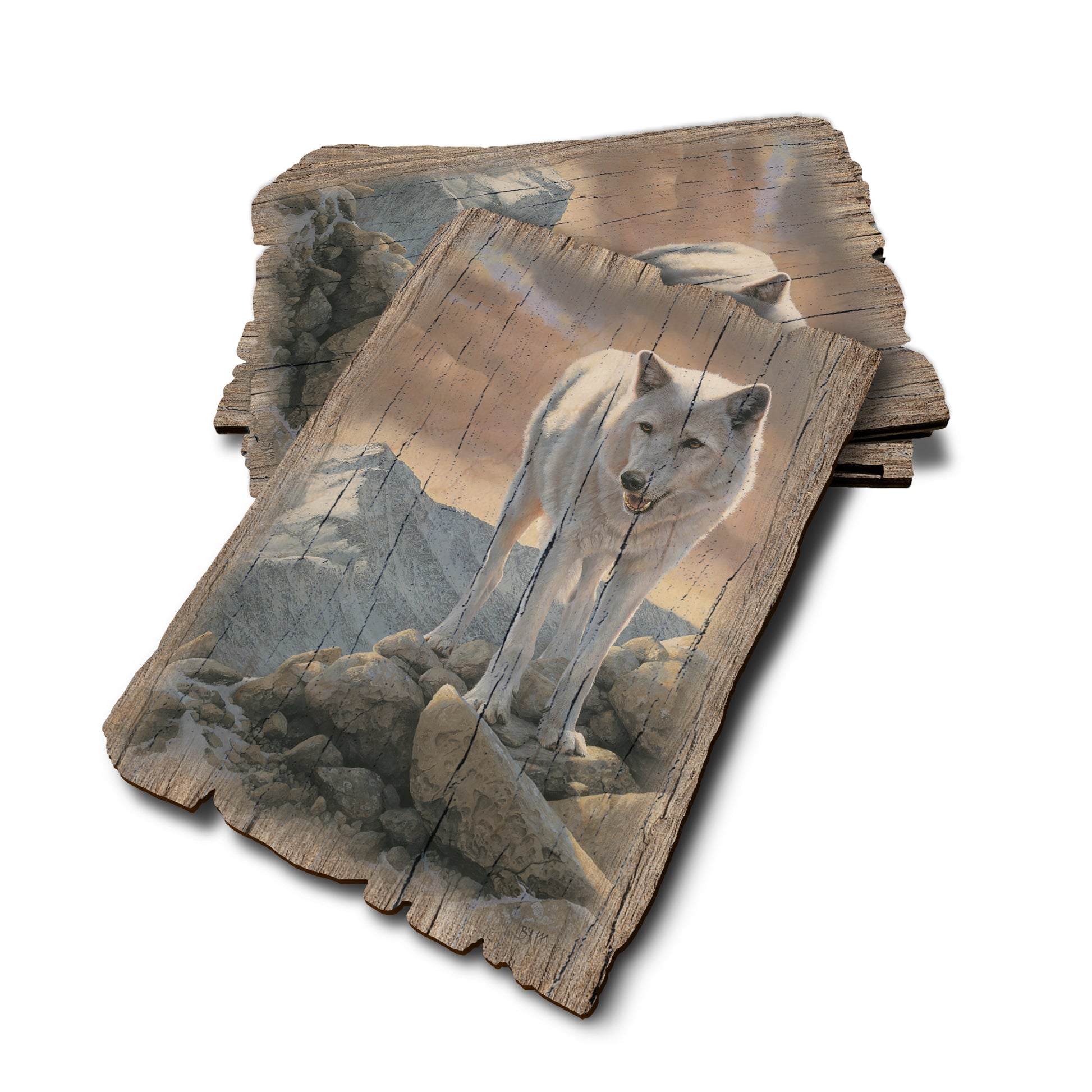 Marris' White Wolf - Weathered Edge Rustic Edge Postcard (5pk // $2.80ea)