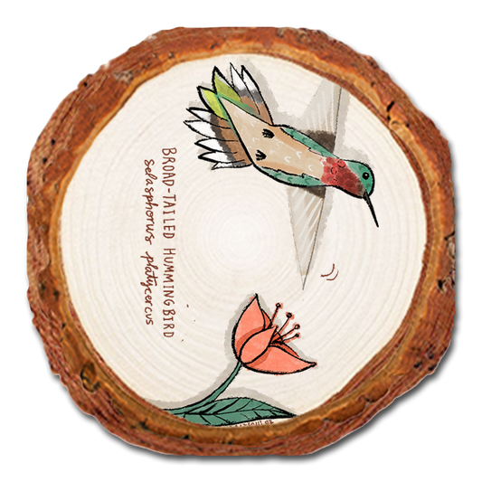 Coaster: Live Edge - Broad (Pack of 5)