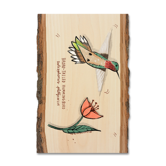 Magnet: Live Edge - Broad